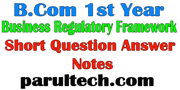 Business Regulatory Framework 